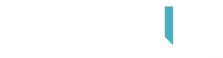 Skyn VR